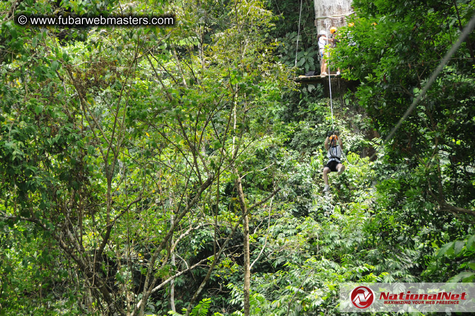 Rainforest Canopy Tours