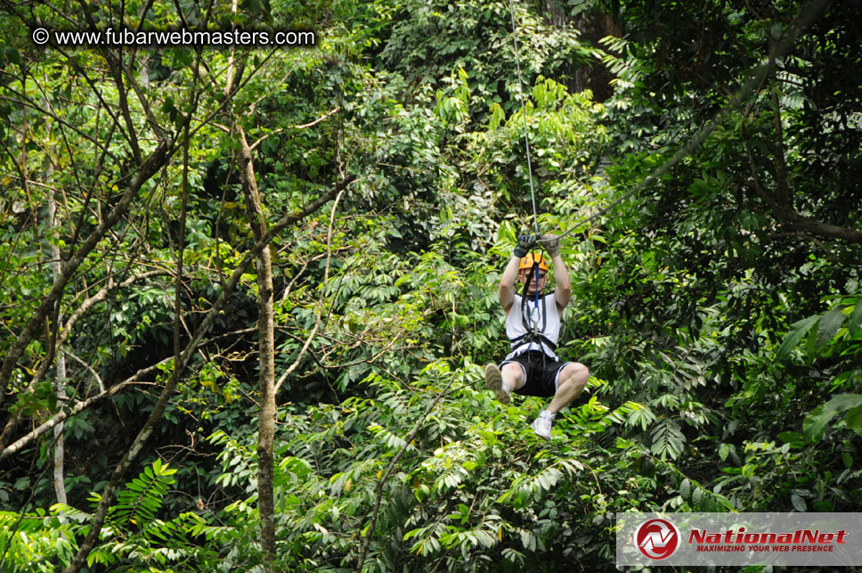 Rainforest Canopy Tours