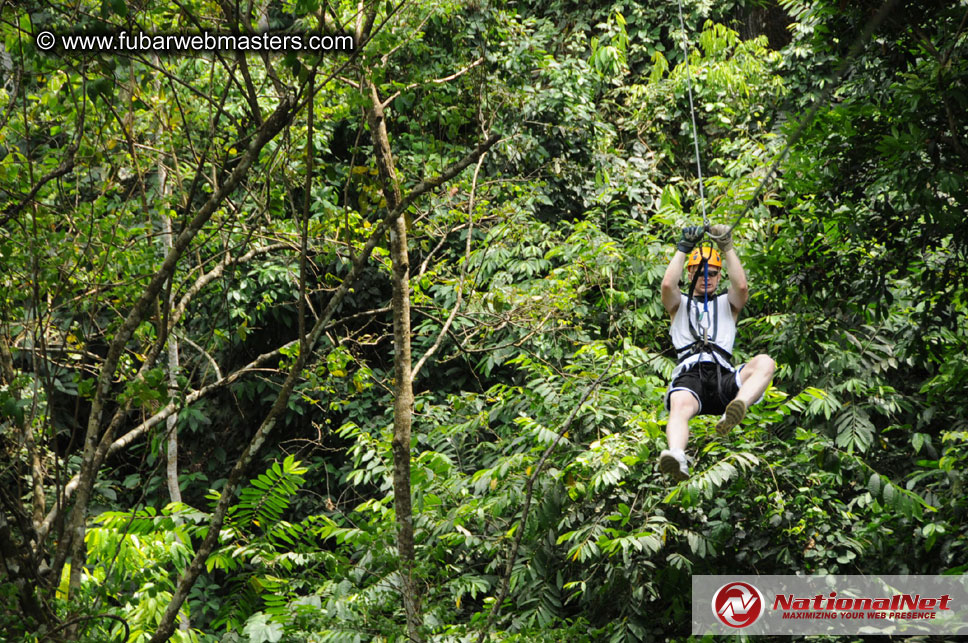 Rainforest Canopy Tours