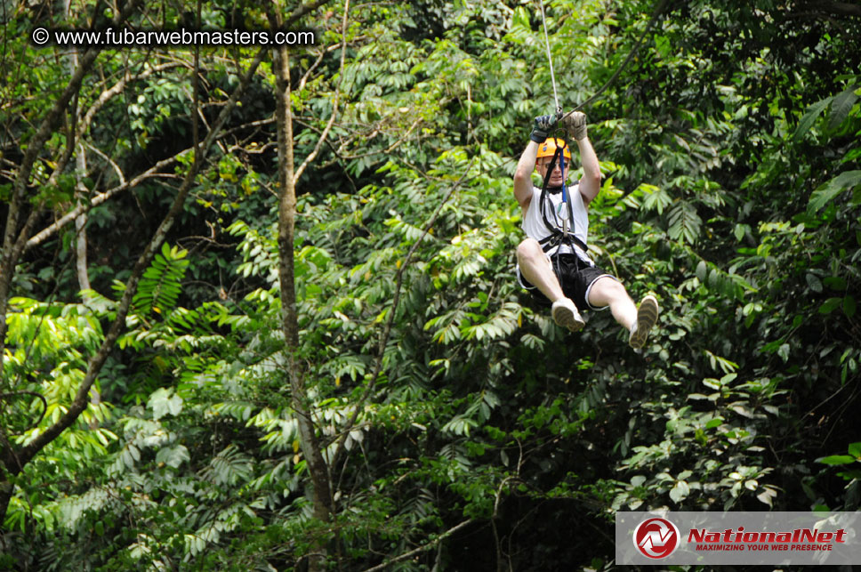 Rainforest Canopy Tours