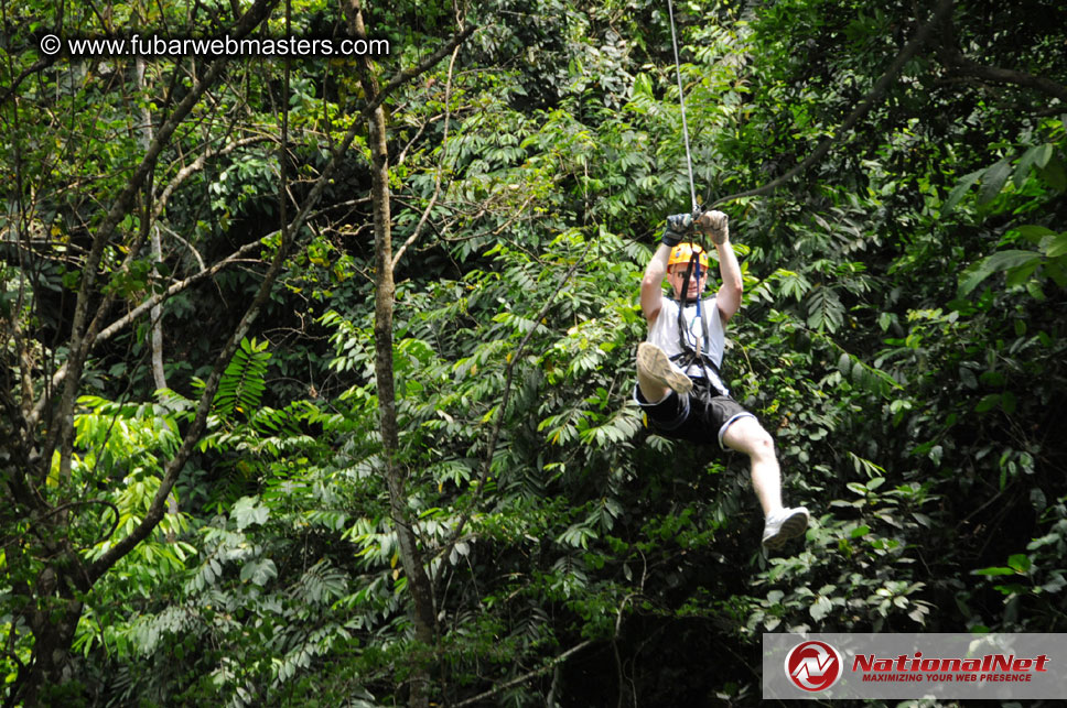 Rainforest Canopy Tours