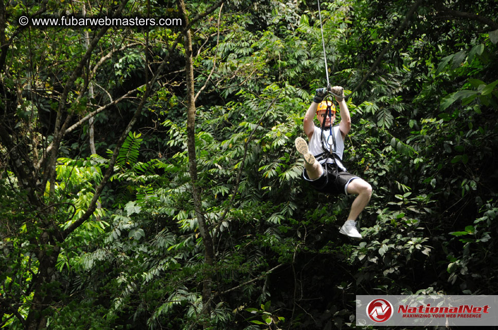 Rainforest Canopy Tours