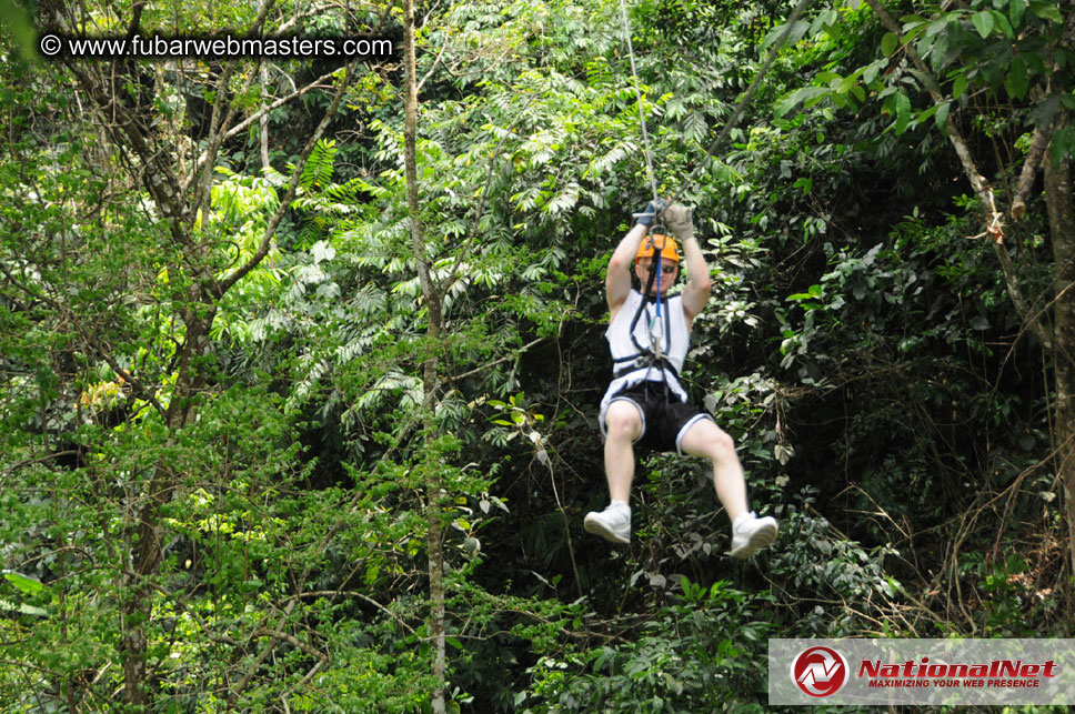 Rainforest Canopy Tours