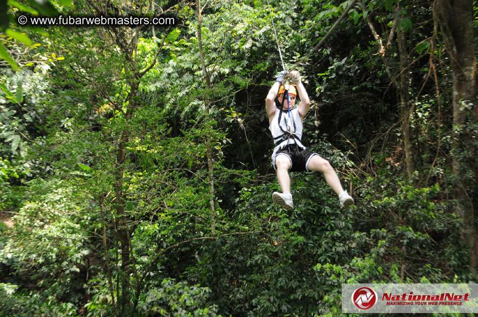 Rainforest Canopy Tours