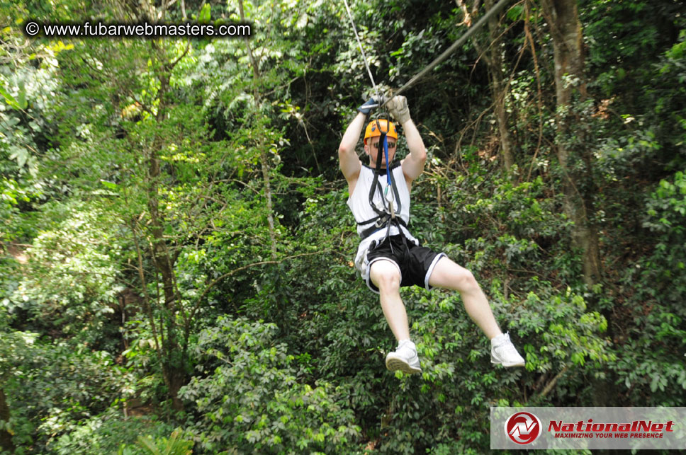 Rainforest Canopy Tours