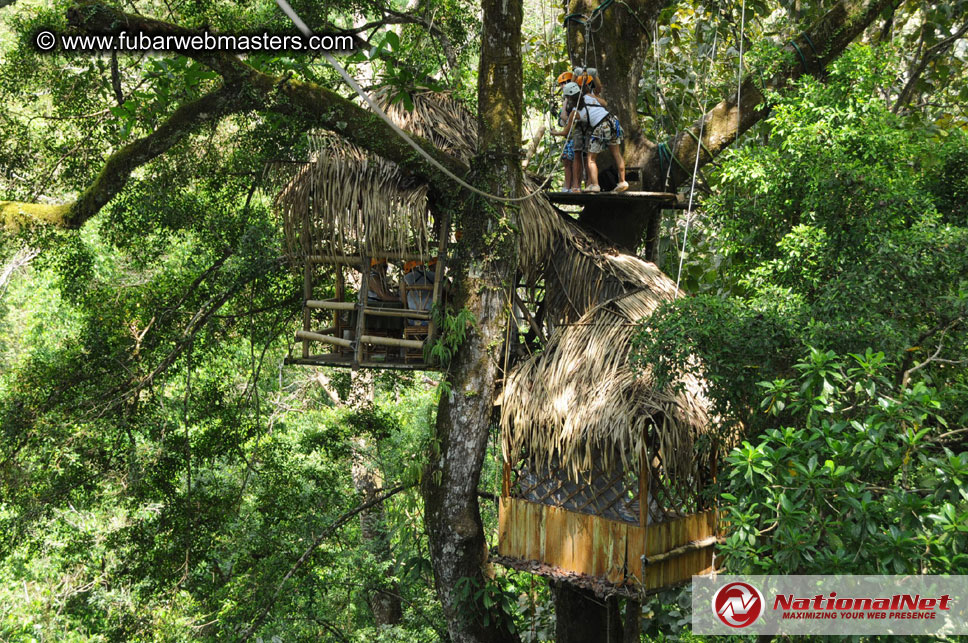 Rainforest Canopy Tours