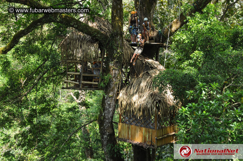 Rainforest Canopy Tours