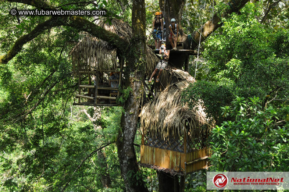 Rainforest Canopy Tours