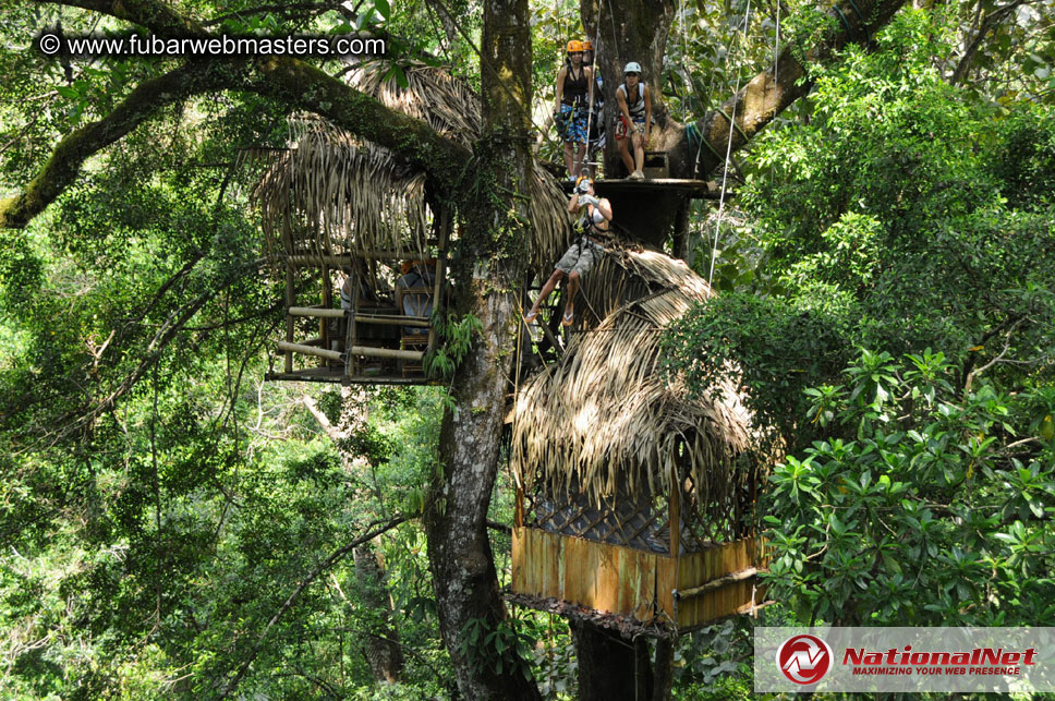 Rainforest Canopy Tours