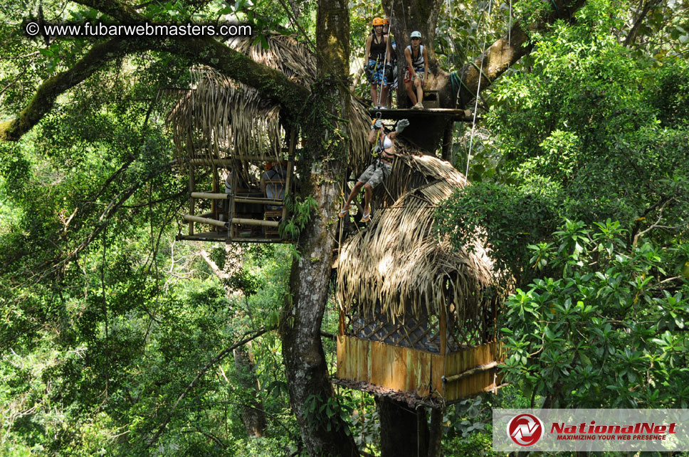 Rainforest Canopy Tours