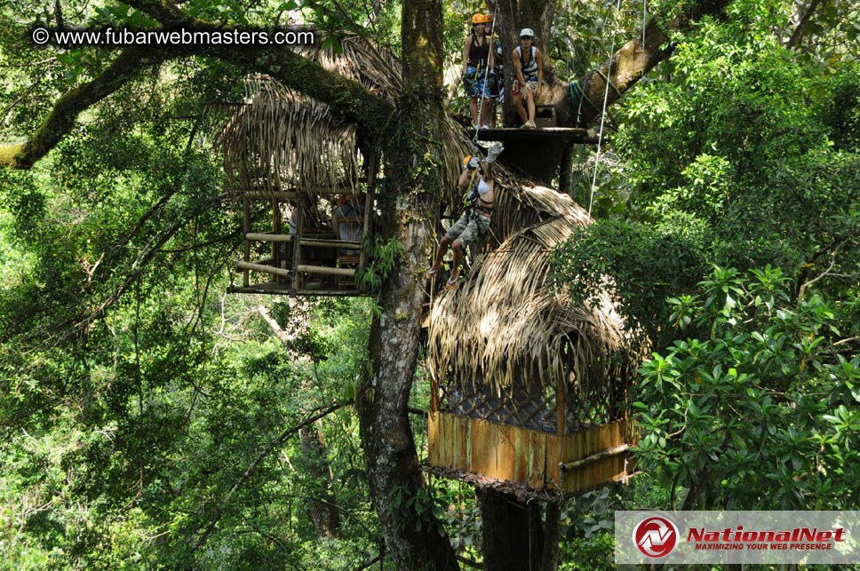 Rainforest Canopy Tours