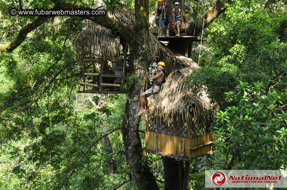 Rainforest Canopy Tours