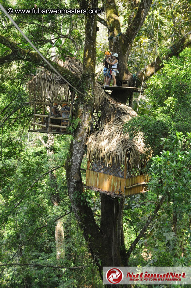 Rainforest Canopy Tours