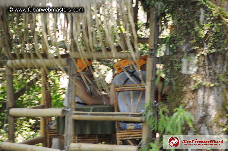 Rainforest Canopy Tours