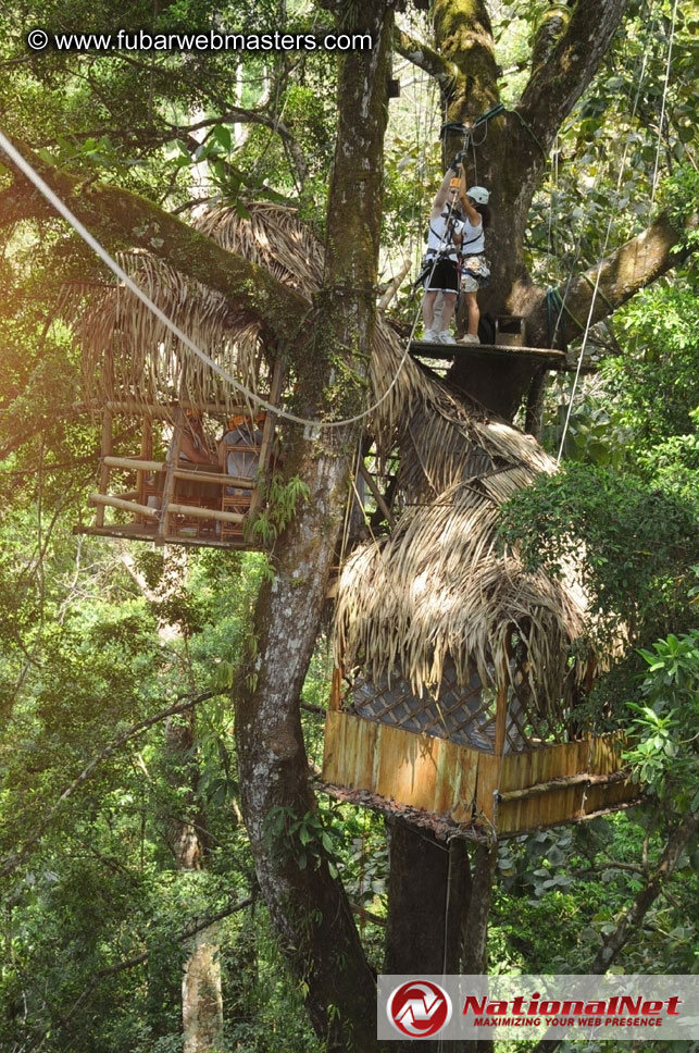 Rainforest Canopy Tours