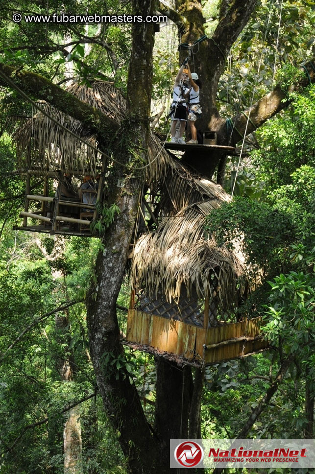 Rainforest Canopy Tours