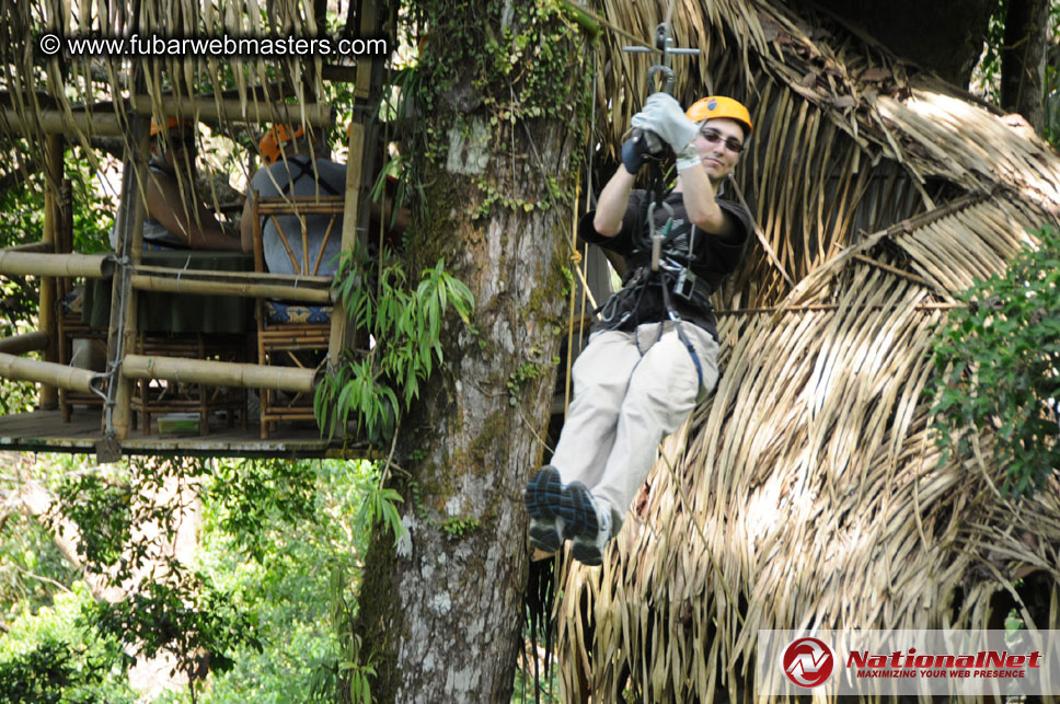 Rainforest Canopy Tours