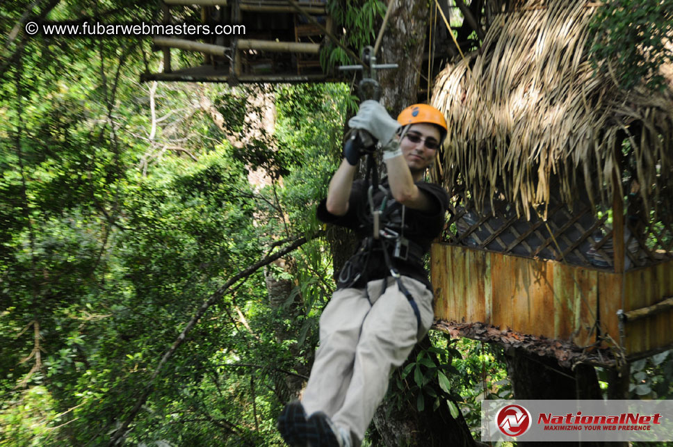 Rainforest Canopy Tours