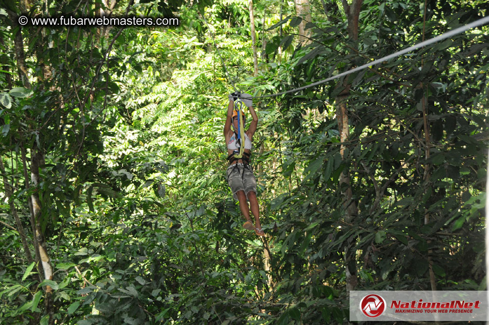 Rainforest Canopy Tours