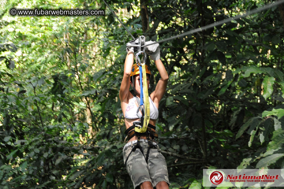 Rainforest Canopy Tours