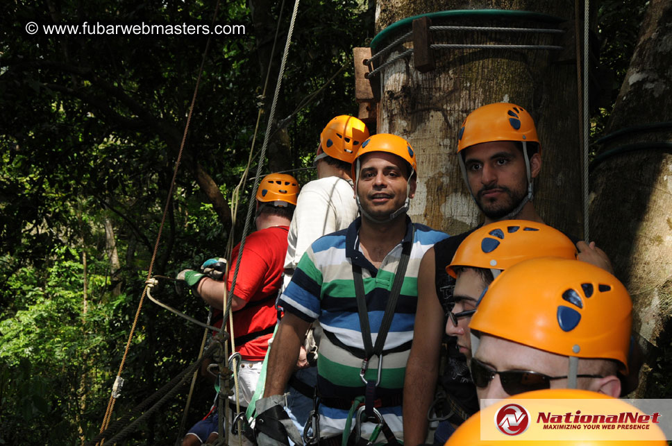 Rainforest Canopy Tours