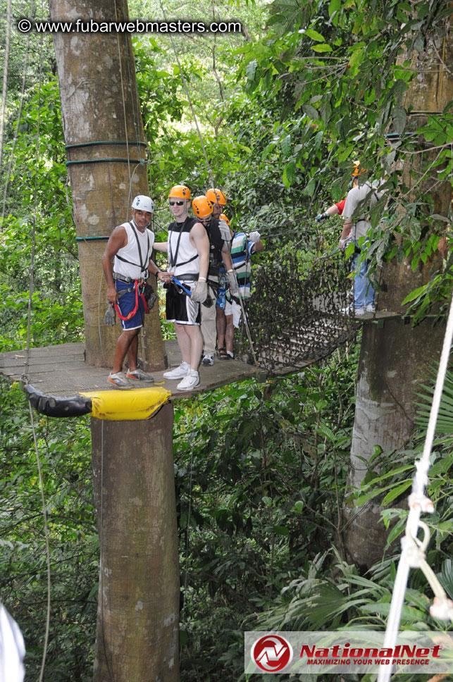 Rainforest Canopy Tours