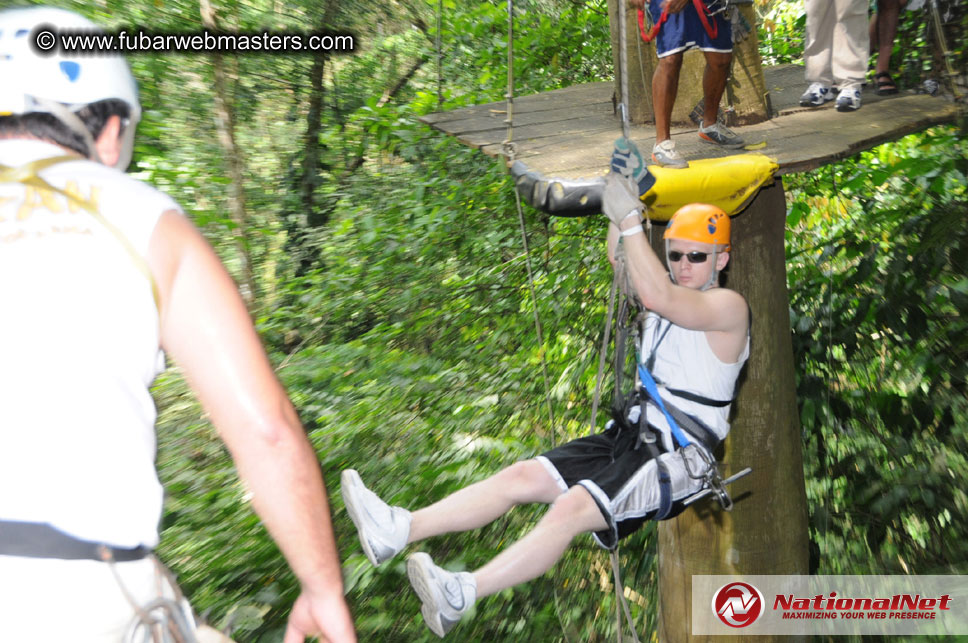 Rainforest Canopy Tours