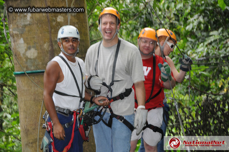 Rainforest Canopy Tours