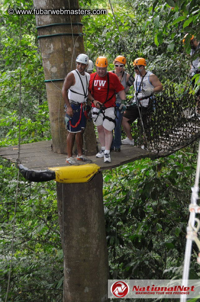 Rainforest Canopy Tours