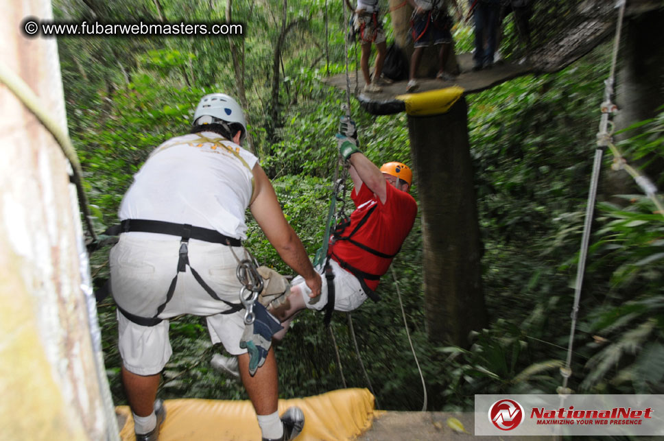 Rainforest Canopy Tours