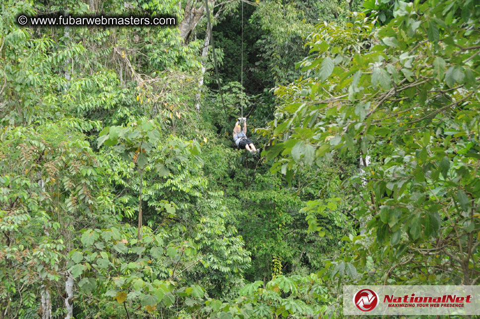 Rainforest Canopy Tours