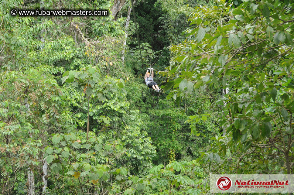 Rainforest Canopy Tours