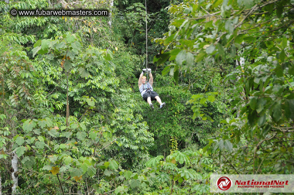 Rainforest Canopy Tours