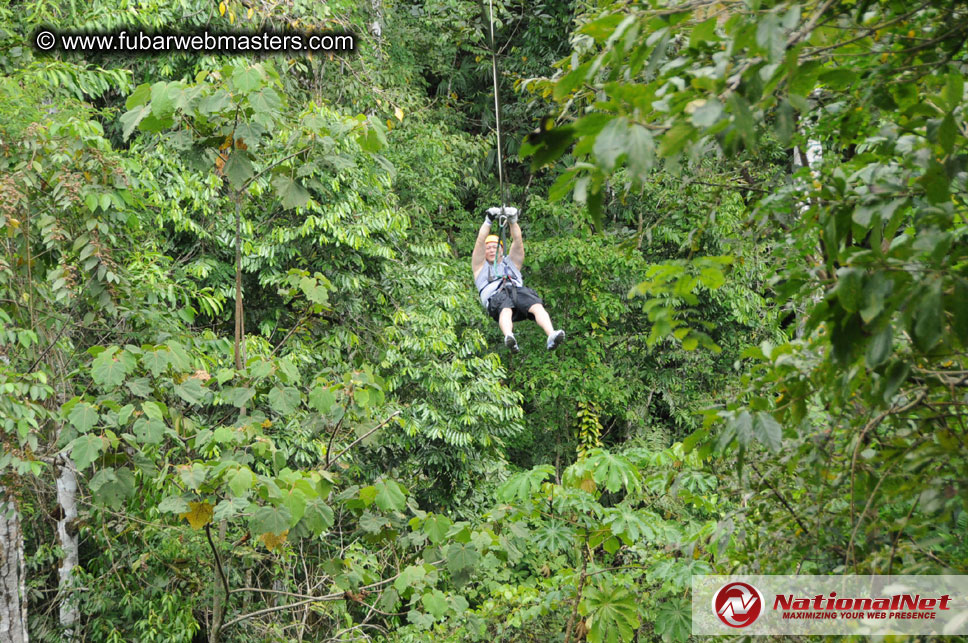 Rainforest Canopy Tours