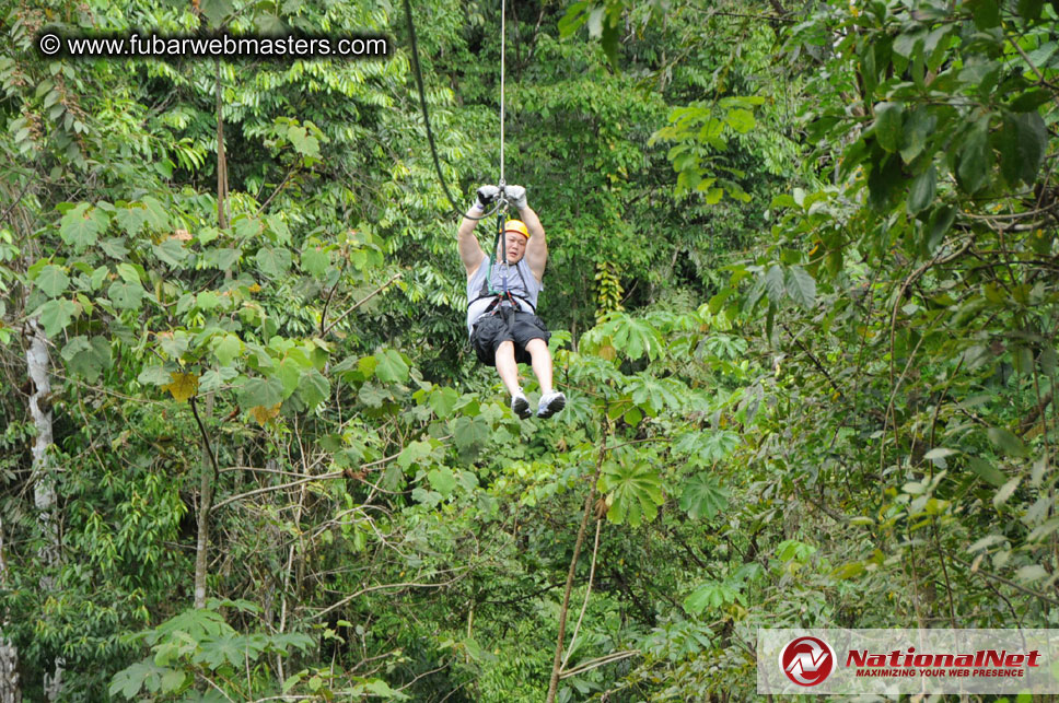 Rainforest Canopy Tours