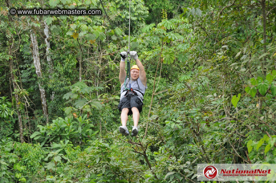 Rainforest Canopy Tours