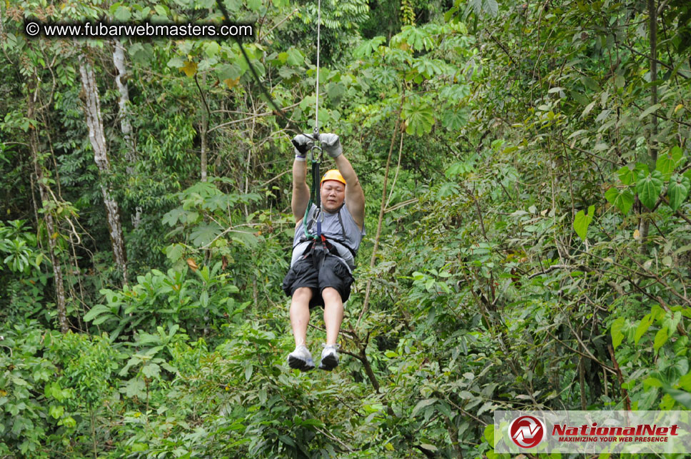 Rainforest Canopy Tours