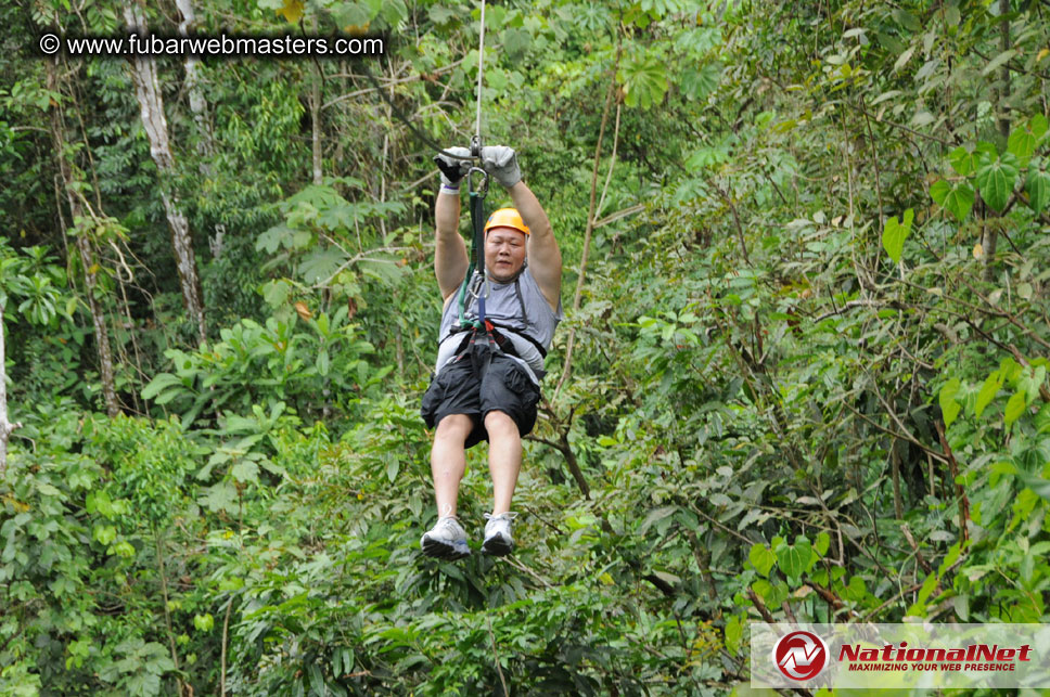 Rainforest Canopy Tours