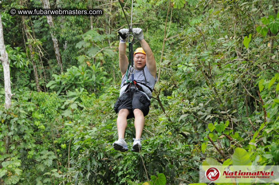 Rainforest Canopy Tours