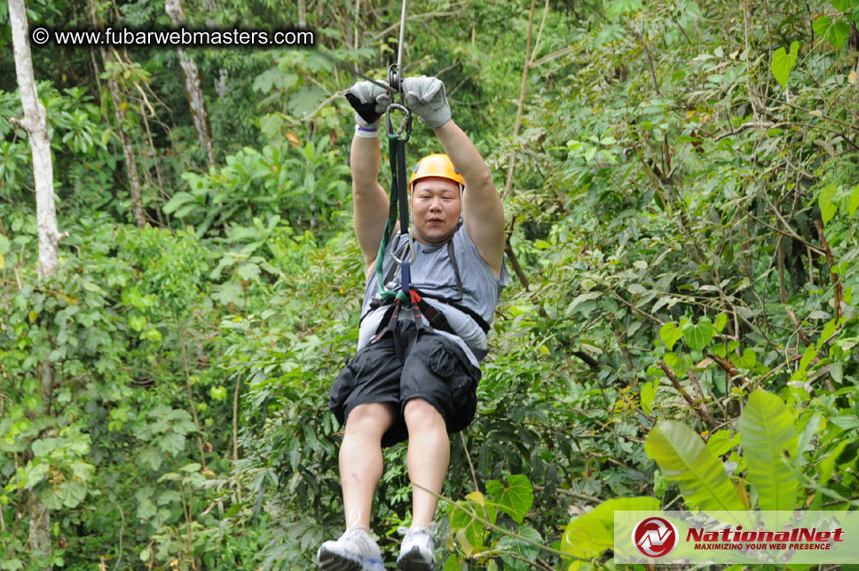 Rainforest Canopy Tours