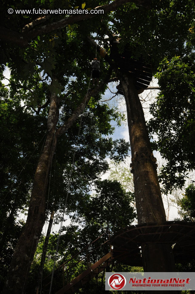 Rainforest Canopy Tours