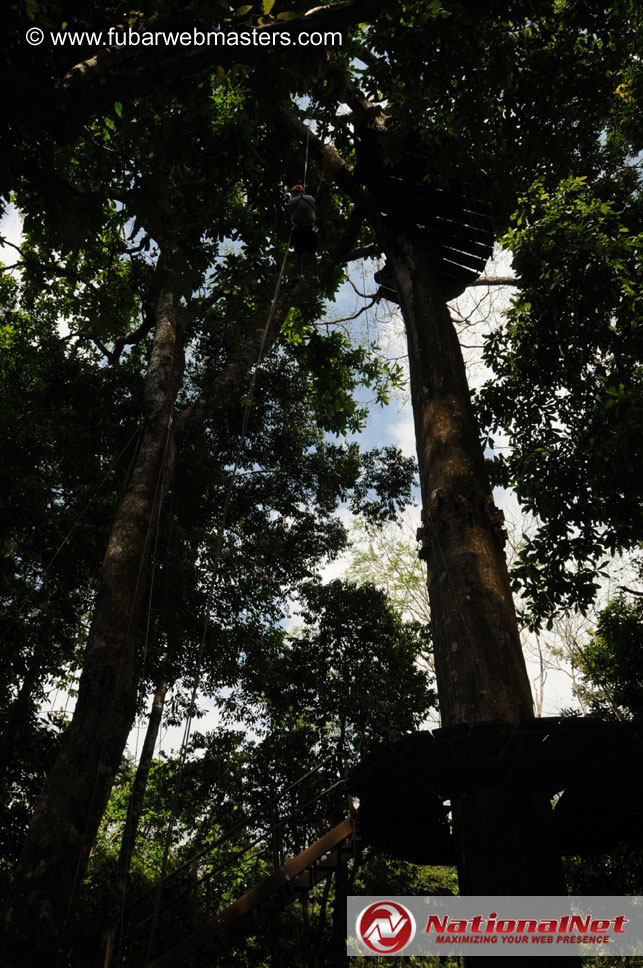 Rainforest Canopy Tours