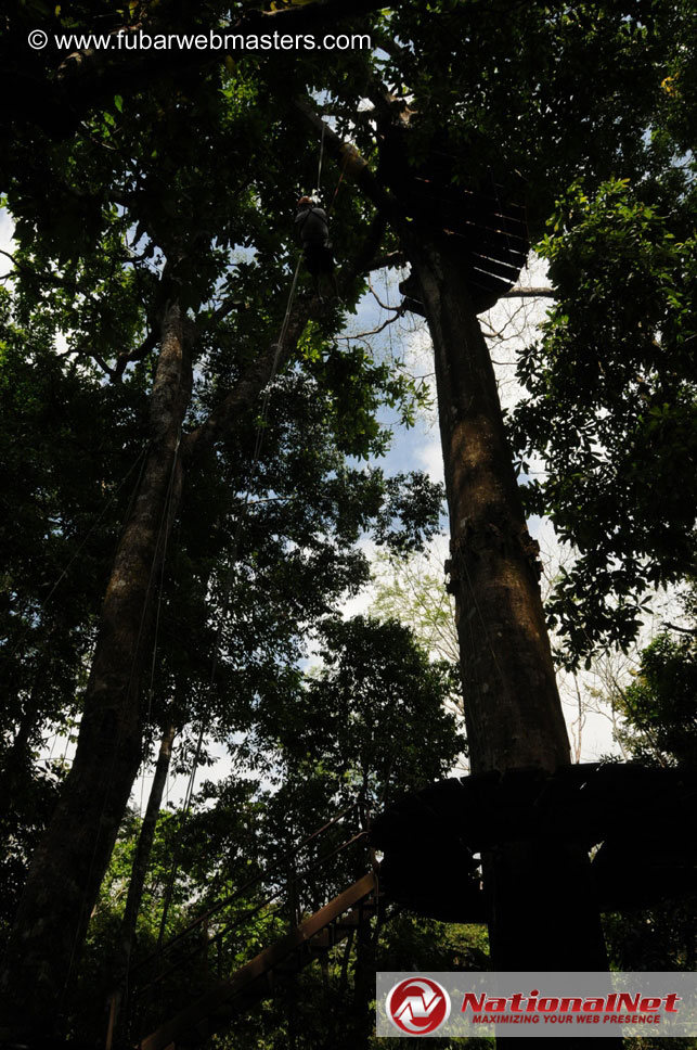 Rainforest Canopy Tours