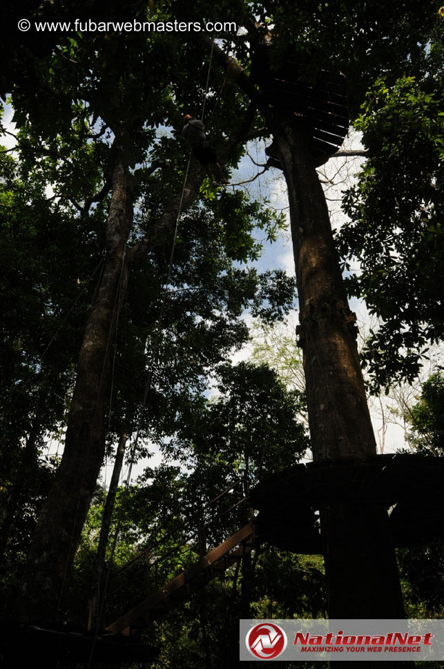 Rainforest Canopy Tours