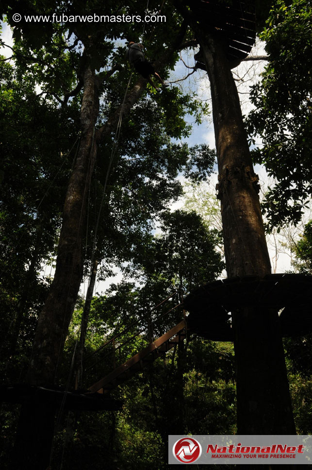 Rainforest Canopy Tours