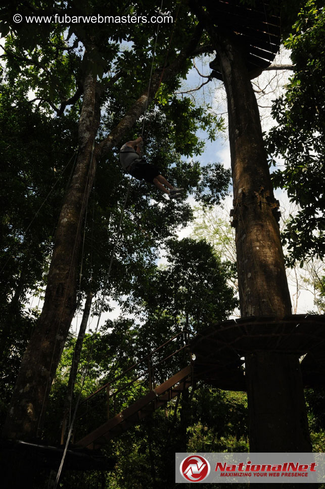 Rainforest Canopy Tours