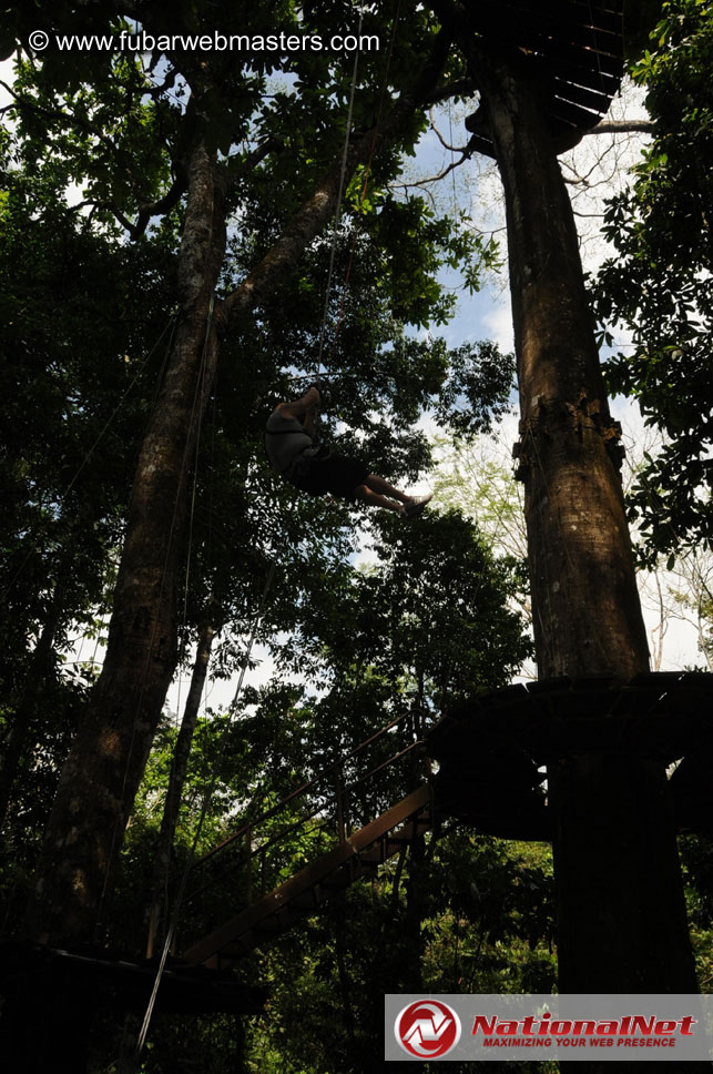 Rainforest Canopy Tours