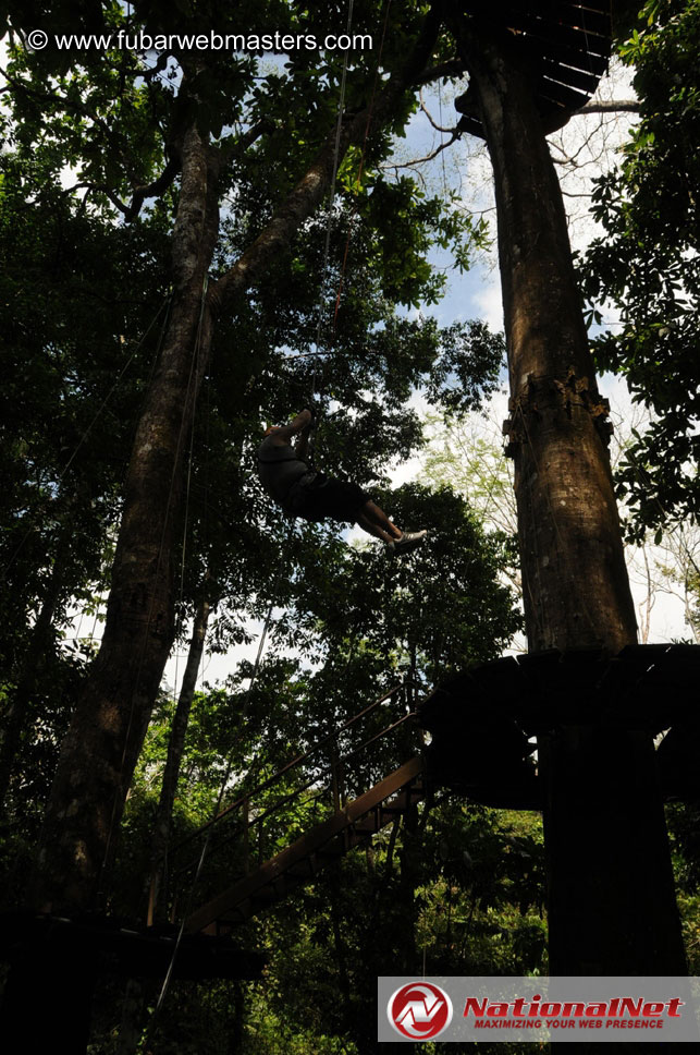 Rainforest Canopy Tours