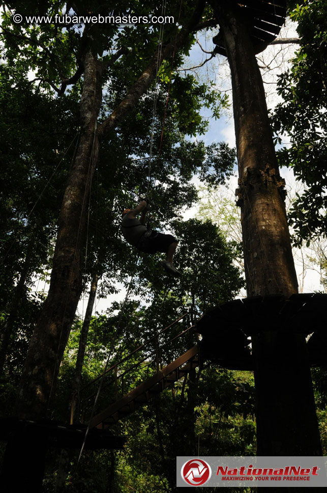 Rainforest Canopy Tours