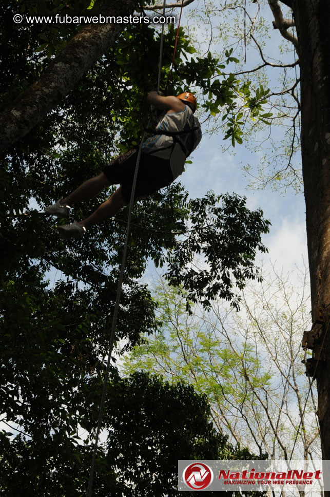 Rainforest Canopy Tours